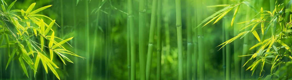 Bamboo-Works-for-the-Environment